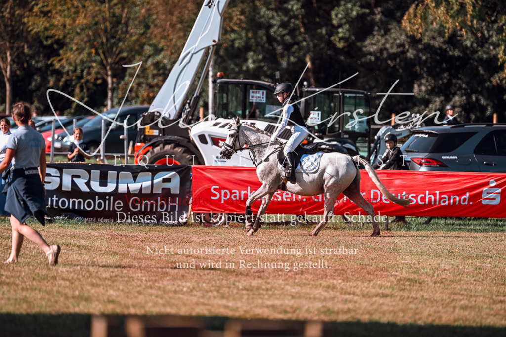 DSC_0635 | Pferde- und Turnierfotografie in Westsachsen. Pferdeportraits, Auftragszeichnungen und intuitive Kunst.