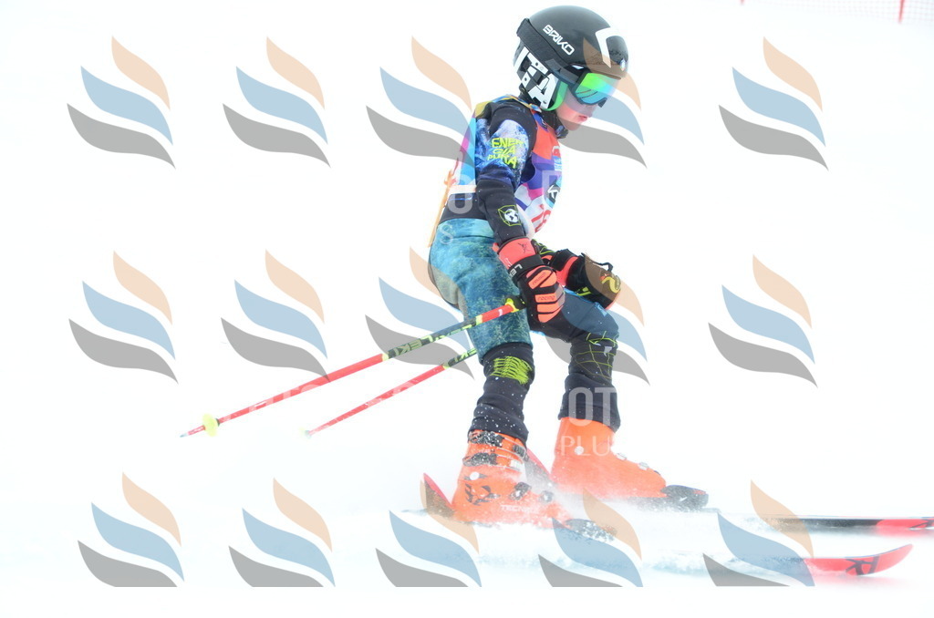 DSC_1536 | holidayphoto