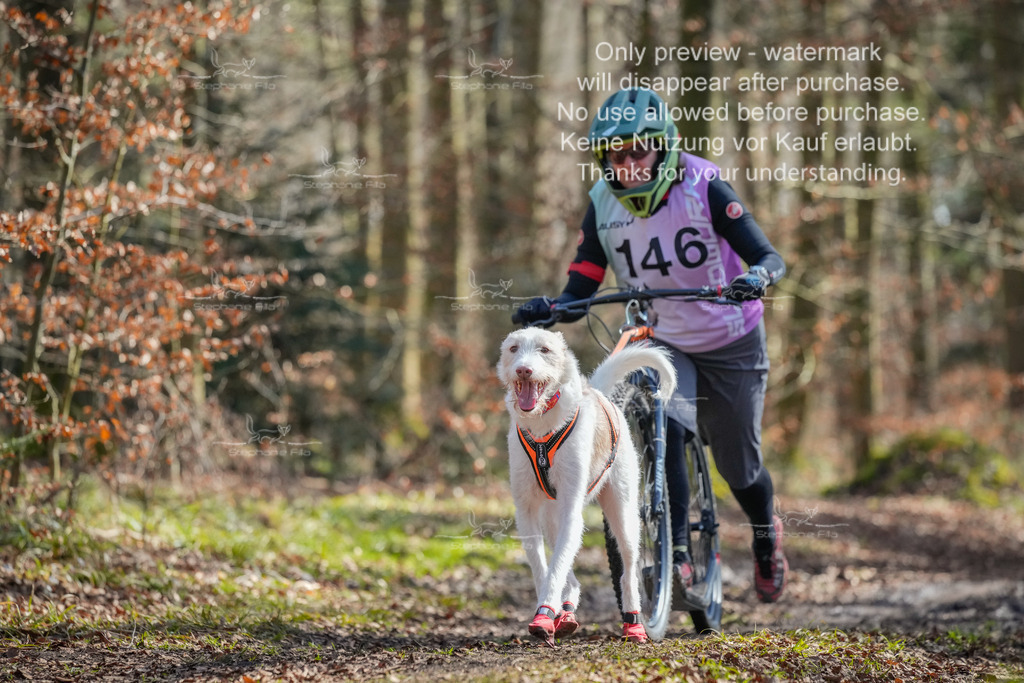 So2_Scooter1-6 | stephaniefillaphotographie - Realisiert mit Pictrs.com