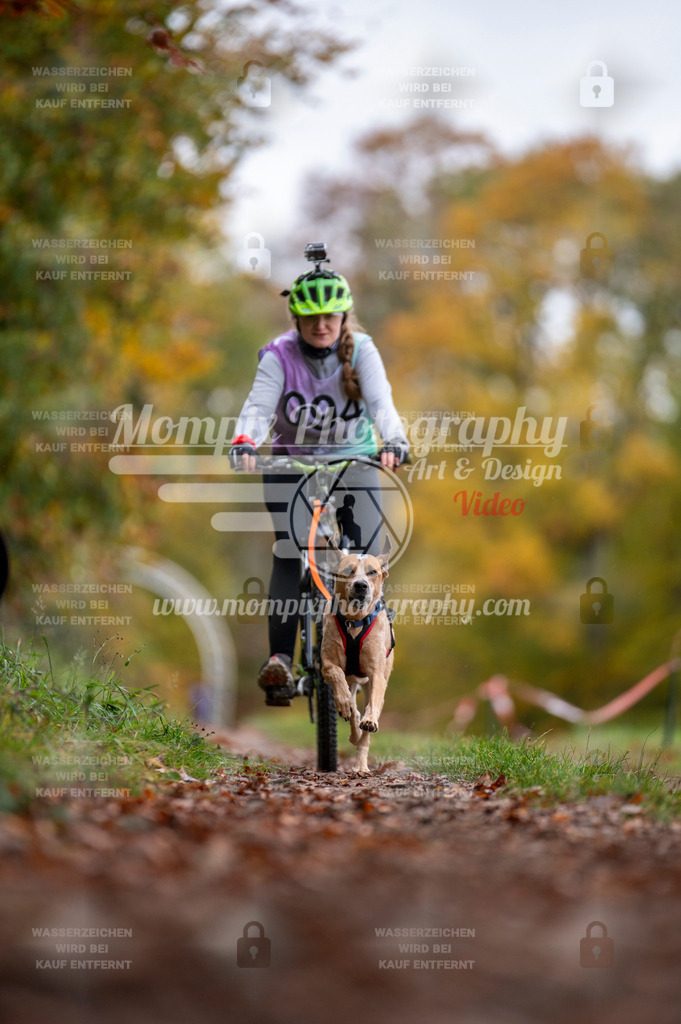 DBT_DAKM_SA_4_11_2023_Bike-38 | PayLife