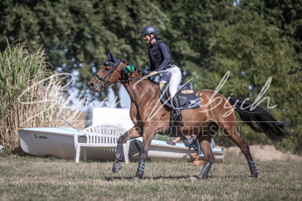 20260906-_3LI4644 | Tierfotografie Pferde, Hunde, Katzen, Haustiere.
Turnierfotografie Reitturniere, Reiten, Springreiten, Dressur in Hanau, dem Main-Kinzig-Kreis und dem Rhein-Main- Gebiet um Frankfurt
