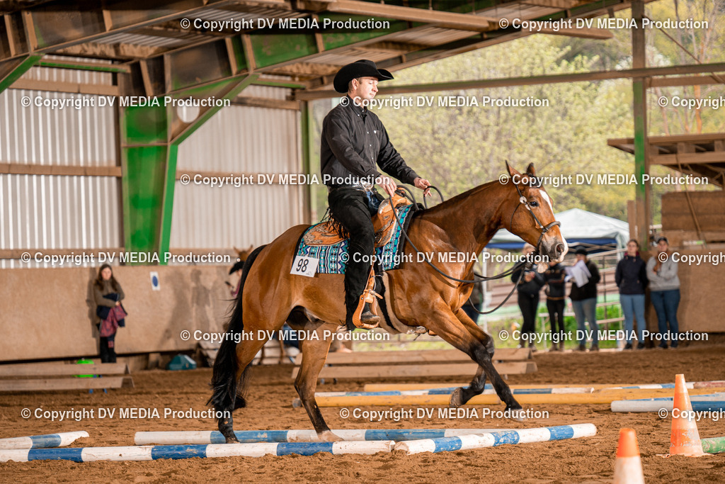 BA300271 | dv-media-shop - Realisiert mit Pictrs.com