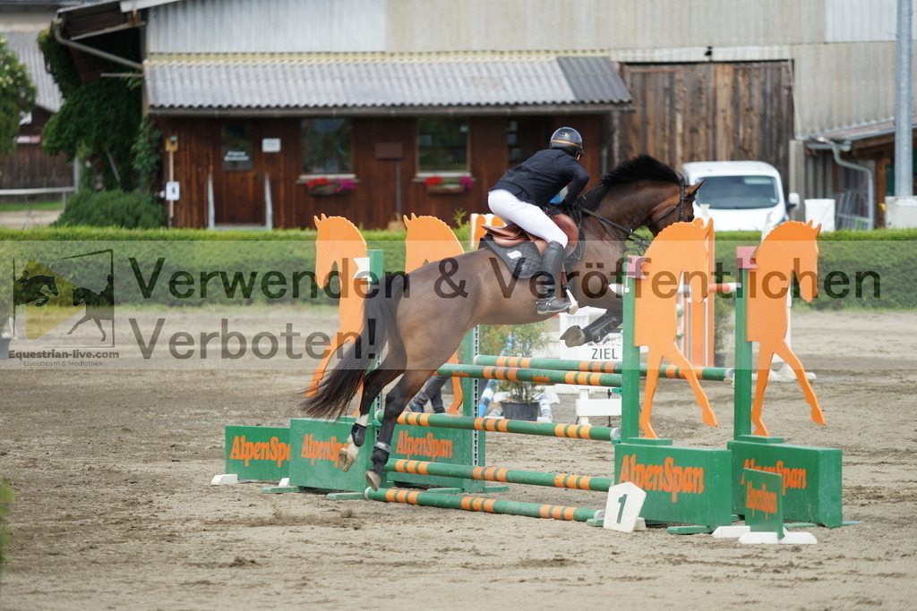 DSC05187 | equestrian-live-com