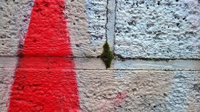Stadt Natur 19 | ARDT Foto Kunst