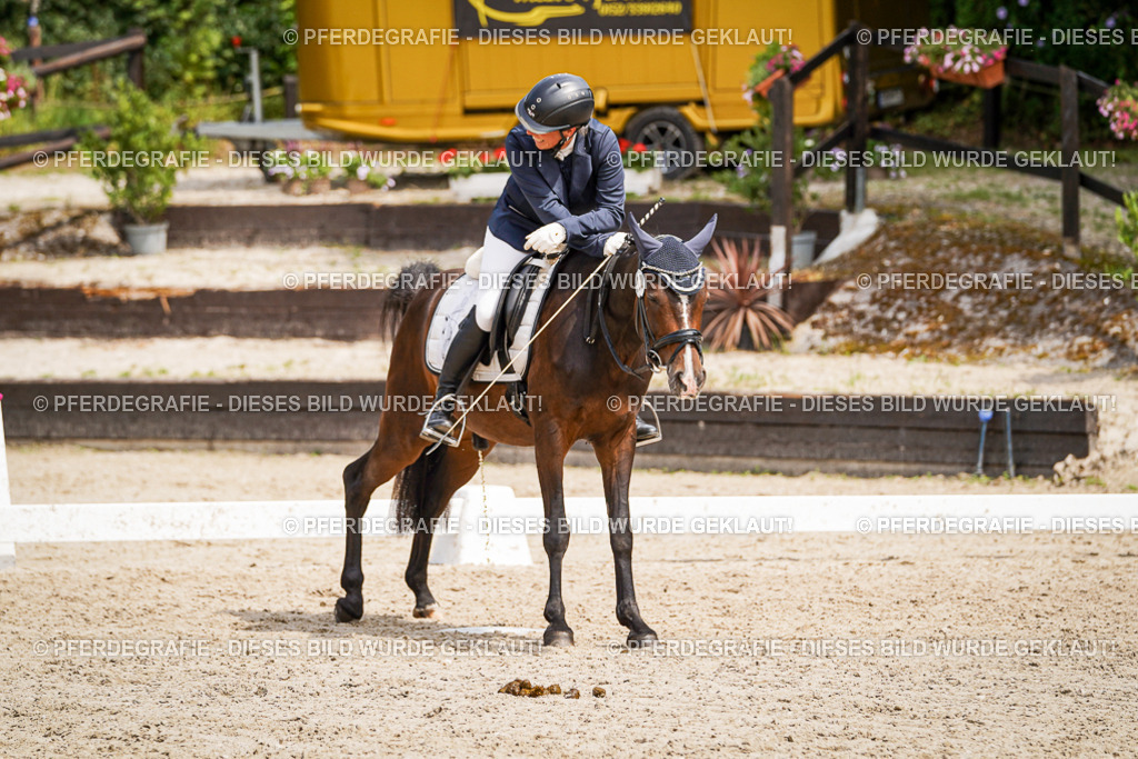 DSC04504 | Pferdegrafie