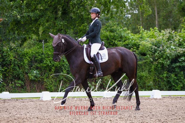 DKP41258 | Turnierfotos kaufen im Webshop von Daniel Kuhl Photography – entdecke professionelle Reitsportfotos aus Turnieren & Events. Hochwertige Turnierbilder online bestellen & sichern. Jetzt Fotos von Reitsportturnieren kaufen!