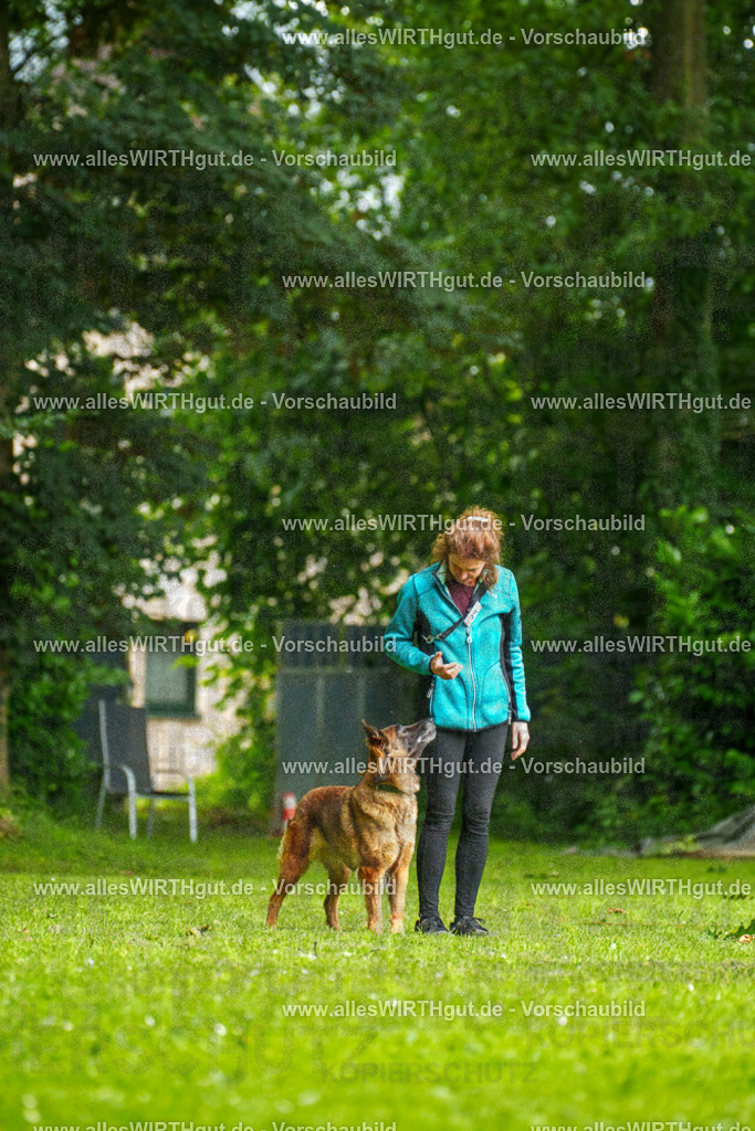 @allesWIRTHgut_Tierfotografie - www.allesWIRTHgut.de - 101840-7R508319 | Professionelle Tierfotografie in Mönchengladbach von Daniel Wirth (allesWIRTHgut). Liebevolle & natürliche Bilder von Hunden & Katzen für unvergessliche Erinnerungen.