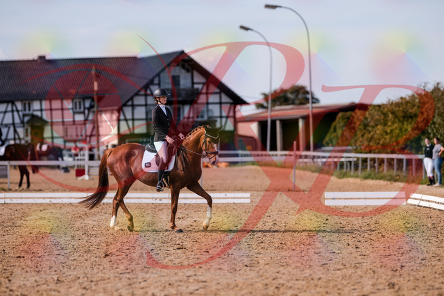 2026_10_03_Siefer-Hof_133153_Z81_87190860 | Professionelle Reitsport-, Turnier- und Eventfotografie von Robert Broda. Galerien mit ausgewählten und bearbeiteten Bildern direkt online ansehen und bestellen.