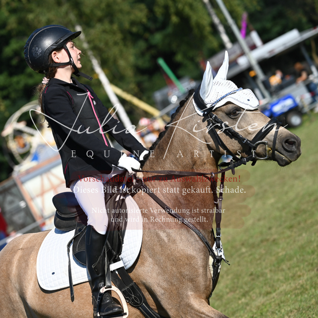 DSC_5168 | Pferde- und Turnierfotografie in Westsachsen. Pferdeportraits, Auftragszeichnungen und intuitive Kunst.