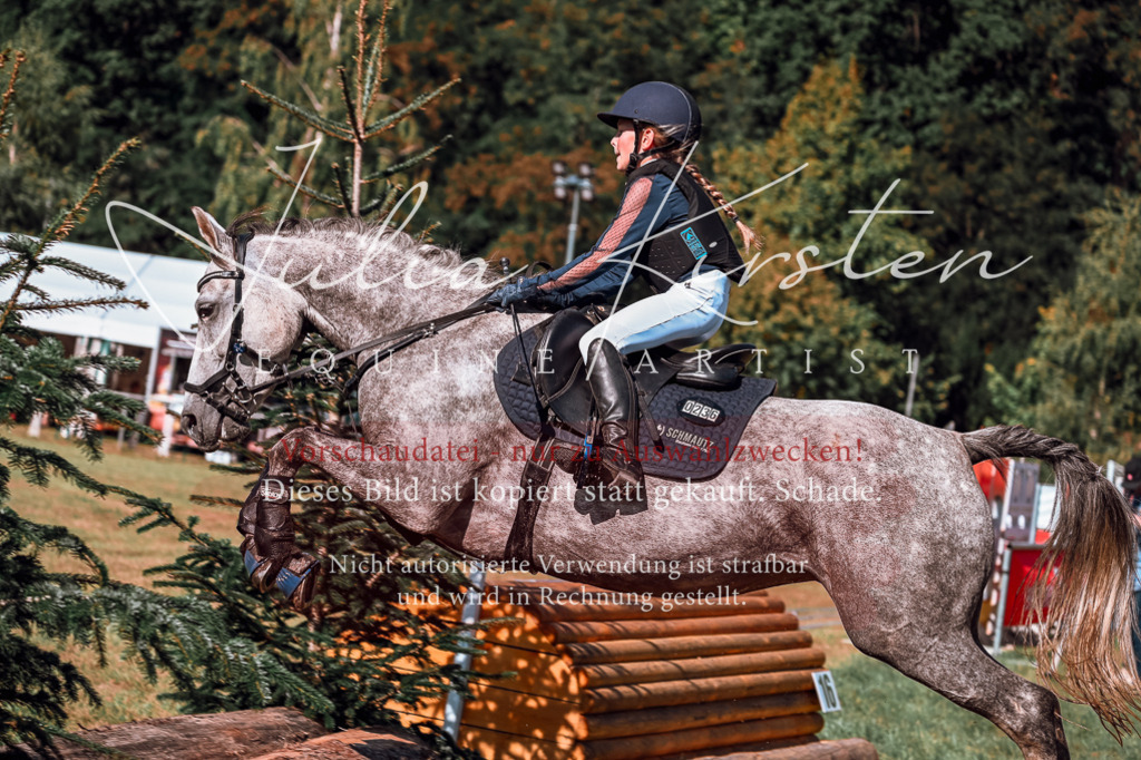 DSC_1173 | Pferde- und Turnierfotografie in Westsachsen. Pferdeportraits, Auftragszeichnungen und intuitive Kunst.