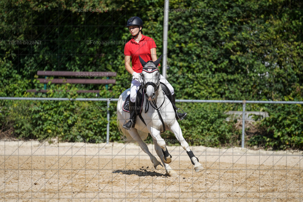 20240824-FAH08391 | Thierhaupten 2024, Bayerisches Landesponyturnier, Turnierbilder, Ponybilder, Turnierfotografen Bayern, Fotoagentur Herrmann
