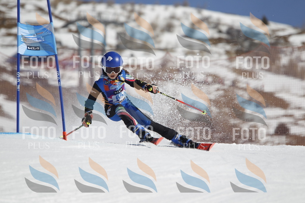 _U3G9704 | holidayphoto