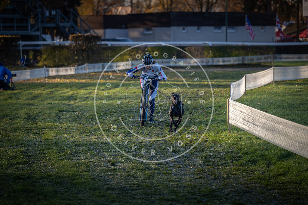 CaniXpix_0L8A2174 | Hundefotografie, Tierfotograf, Pfotenfotografie, Fotoshooting Hund, Hunde Portrait, Hundesport, Hundeportraits, Heideshooting, Hunde, Sportfotograf, Hundefotograf, Turnierhundsport, THS,  - Realisiert mit Pictrs.com
