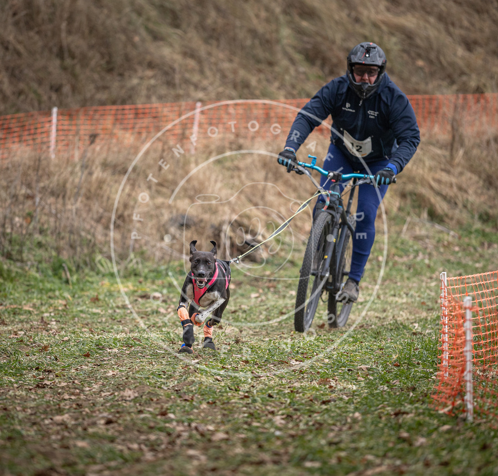 Pfotenfotografie_DV3A6335 | Hundefotografie, Tierfotograf, Pfotenfotografie, Fotoshooting Hund, Hunde Portrait, Hundesport, Hundeportraits, Heideshooting, Hunde, Sportfotograf, Hundefotograf, Turnierhundsport, THS,  - Realisiert mit Pictrs.com