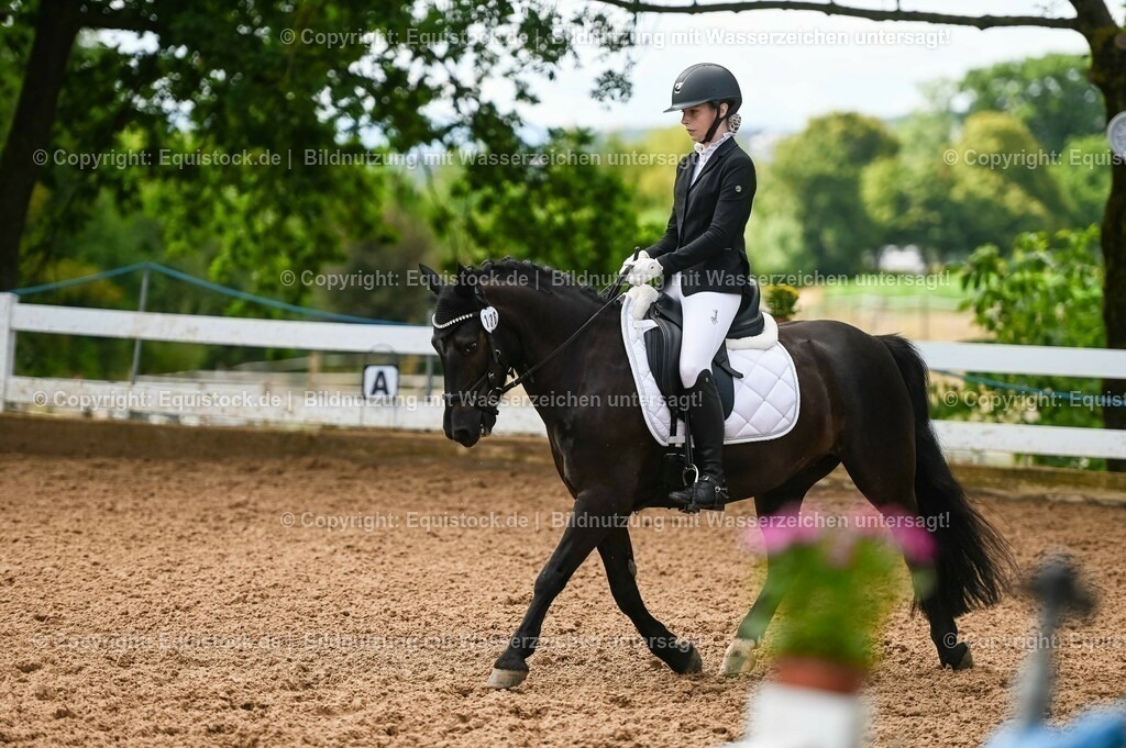 20230716_04_Dressurreiterprüfung Kl.A_0300 | equistock