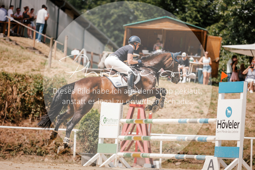 3I6A7781 | Stimmungsvolle Portraits und Reitsportfotografie im Ruhrgebiet und im Münsterland.

Pferdefotografie, Hundefotografie, Tierfotografie, Reportagen, Portraits von Tier und Mensch, Turnierfotografie in Bochum, Recklinghausen, Marl, Haltern am See, Dülmen.. - Realisiert mit Pictrs.com