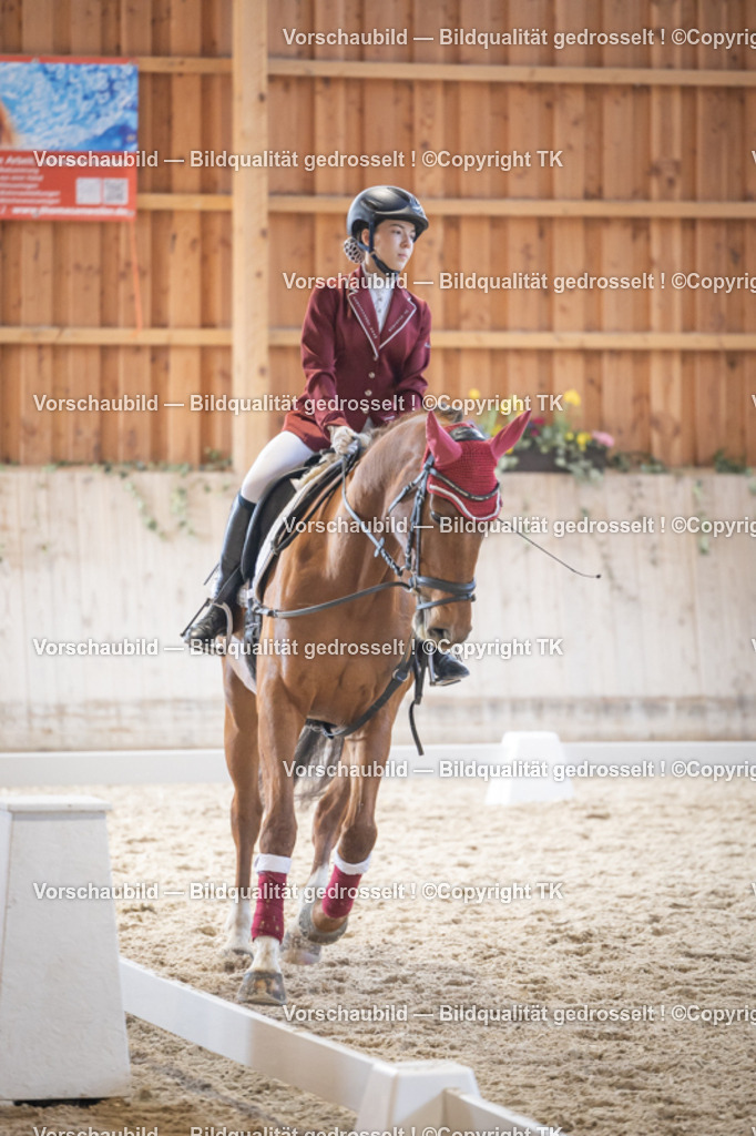 _D5A5680 | Emotionale Pferde- & People-Fotografie rund um Heidelberg, Leimen & Umgebung. Natürliche Fotos von Pferd, Mensch & Familie. Jetzt Termin sichern!