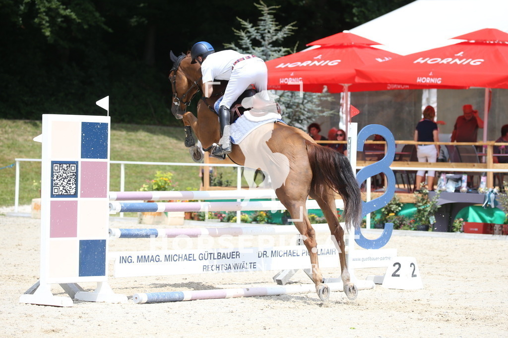 DL2Q0120 | Willkommen bei Brunnmayr - Design & Fotografie – Ihrem Spezialisten für Reitturniere und Pferdeveranstaltungen in Oberösterreich, Salzburg und Bayern! Seit über 17 Jahren sind wir leidenschaftlich dabei.