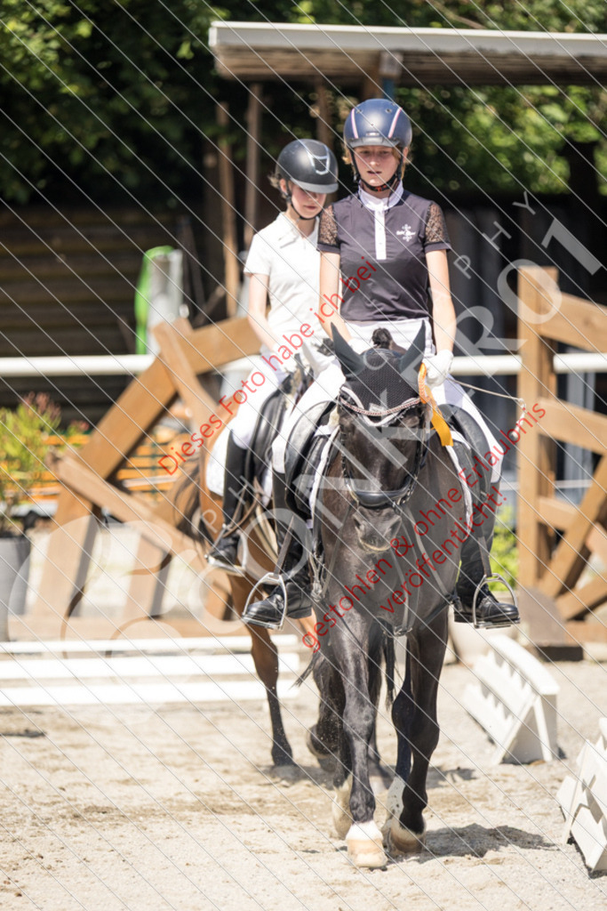 IMG_4747 | Sport-, Event- und Tierfotos in Profiqualität. Einfach auswählen, bestellen und herunterladen. Dein Moment – perfekt festgehalten.