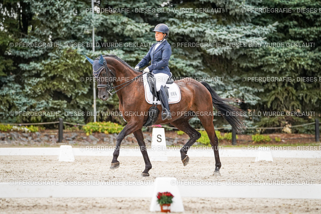 DSC09526 | Pferdegrafie