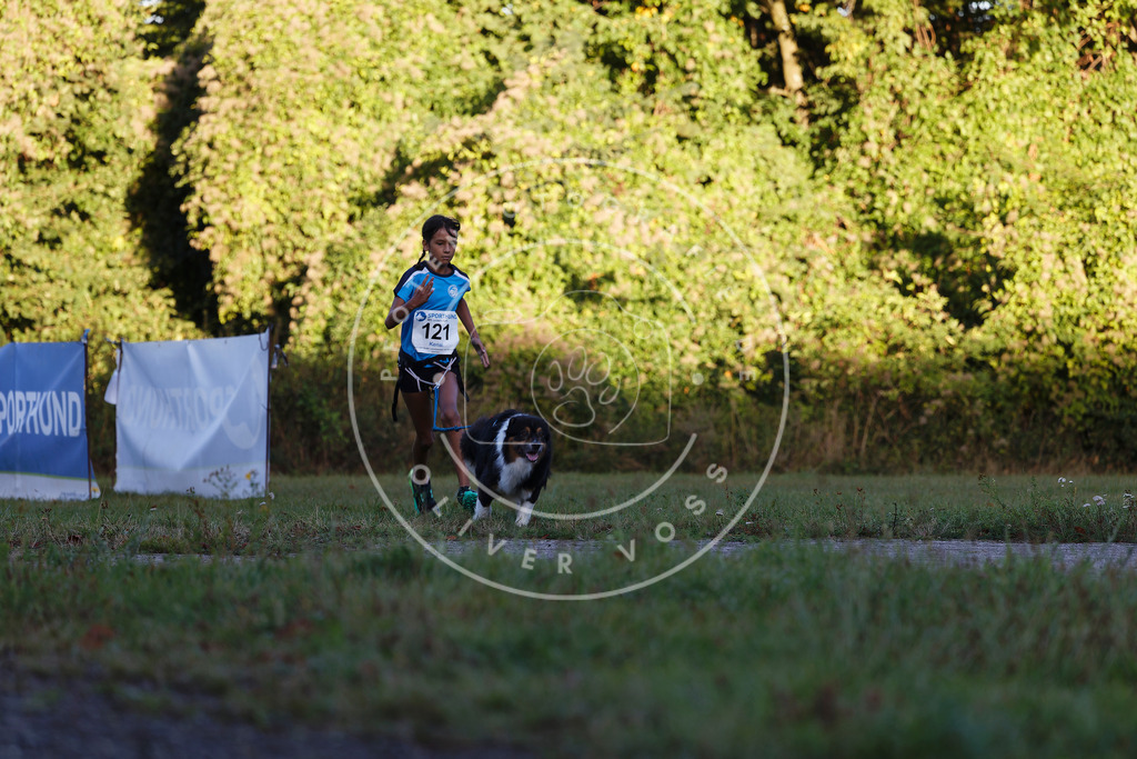 0L8A4342 | Hundefotografie, Tierfotograf, Pfotenfotografie, Fotoshooting Hund, Hunde Portrait, Hundesport, Hundeportraits, Heideshooting, Hunde, Sportfotograf, Hundefotograf, Turnierhundsport, THS,  - Realisiert mit Pictrs.com