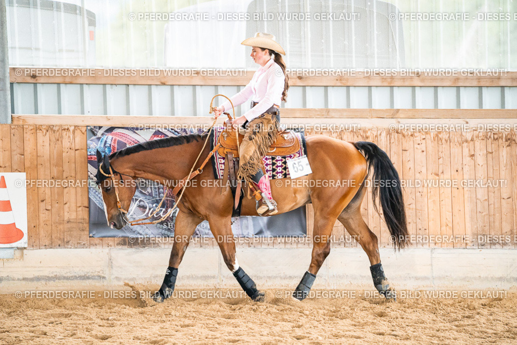 DSC00582 | Pferdegrafie