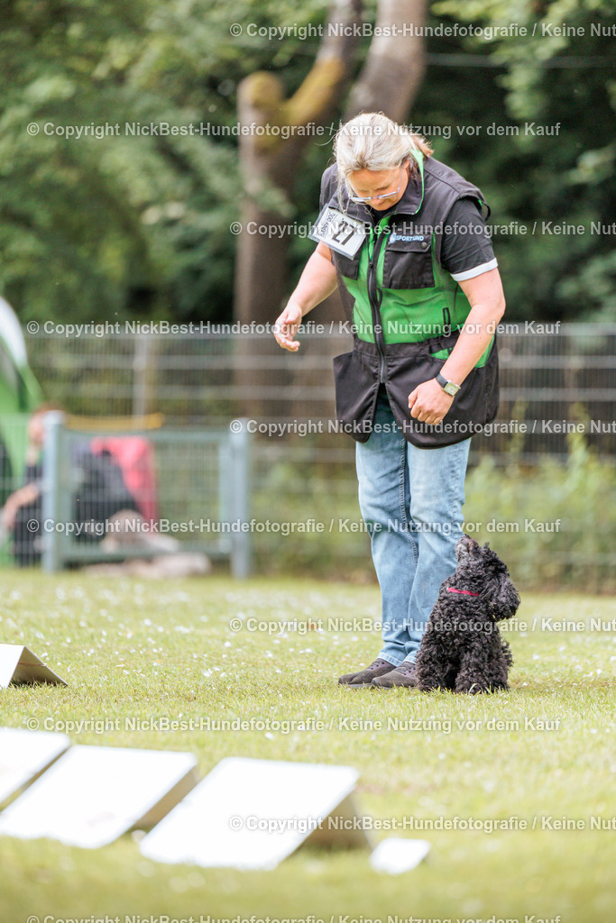 RO-Blumenthal-2026-Nickbest-Hundefotografie-3193 | Dein Hund! Dein Moment! Deine Erinnerungen! Hundefotografie in Bremen Blumenthal. Ich fange die besonderen Momente deines Vierbeiners ein – ob Indoor mit Blitzanlage oder in der freien Natur. Sicher dir dein Moment und dein Termin für eure Erinnerungen.