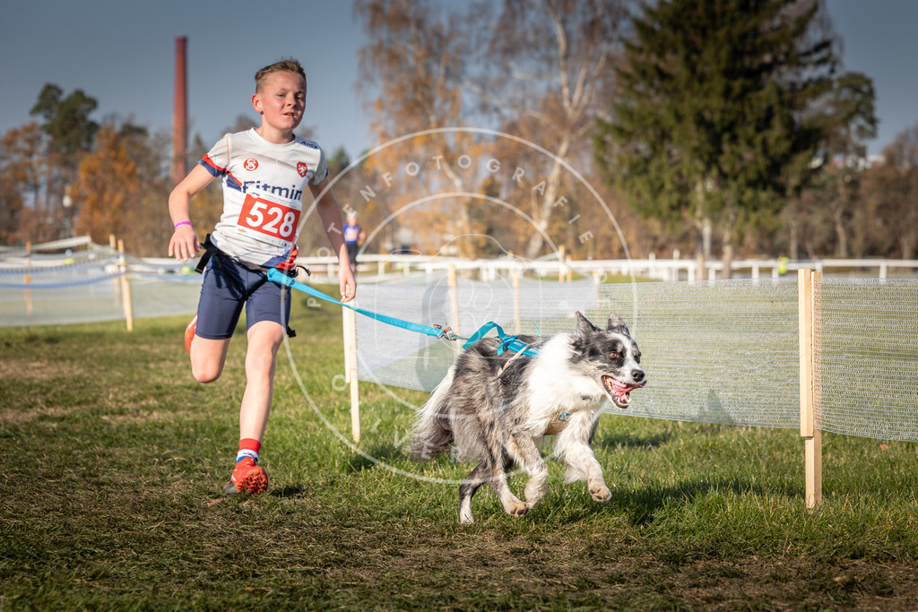 CaniXpix_0L8A8784 | Hundefotografie, Tierfotograf, Pfotenfotografie, Fotoshooting Hund, Hunde Portrait, Hundesport, Hundeportraits, Heideshooting, Hunde, Sportfotograf, Hundefotograf, Turnierhundsport, THS,  - Realisiert mit Pictrs.com