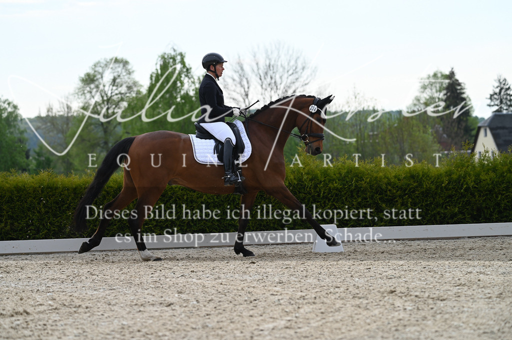 20230512_JK-Röhrsdorf-02-285 | Pferde- und Turnierfotografie in Westsachsen. Pferdeportraits, Auftragszeichnungen und intuitive Kunst.