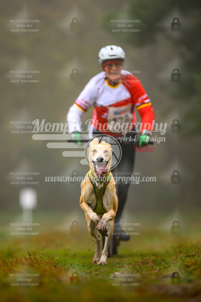 MompixPhotography_Bischwiller2025_Scooter-58 | mompixphotography