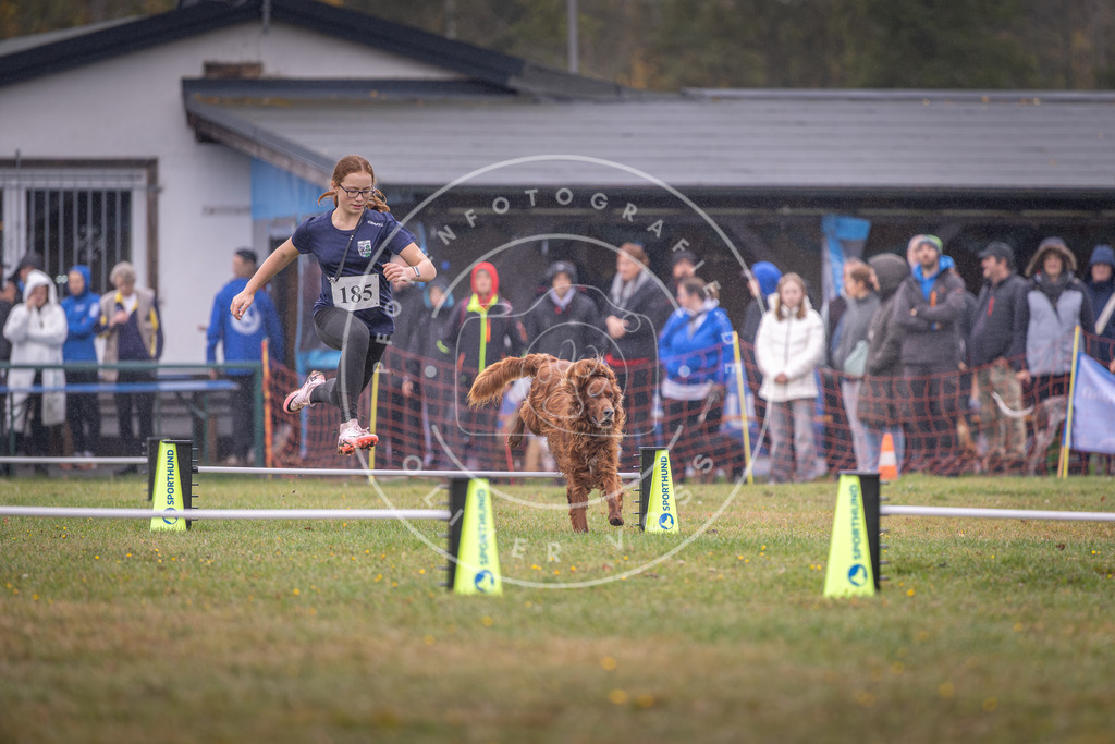 Pfotenfotografie_DV3A9737 | Hundefotografie, Tierfotograf, Pfotenfotografie, Fotoshooting Hund, Hunde Portrait, Hundesport, Hundeportraits, Heideshooting, Hunde, Sportfotograf, Hundefotograf, Turnierhundsport, THS,  - Realisiert mit Pictrs.com
