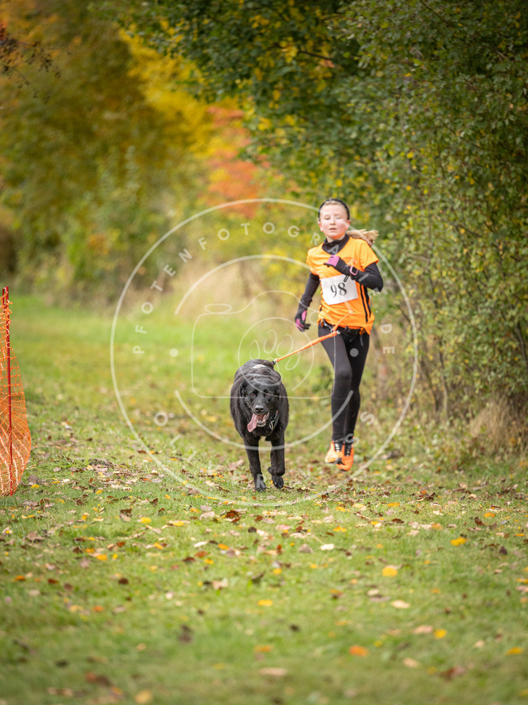 Pfotenfotografie_DV3A3428 | Hundefotografie, Tierfotograf, Pfotenfotografie, Fotoshooting Hund, Hunde Portrait, Hundesport, Hundeportraits, Heideshooting, Hunde, Sportfotograf, Hundefotograf, Turnierhundsport, THS,  - Realisiert mit Pictrs.com