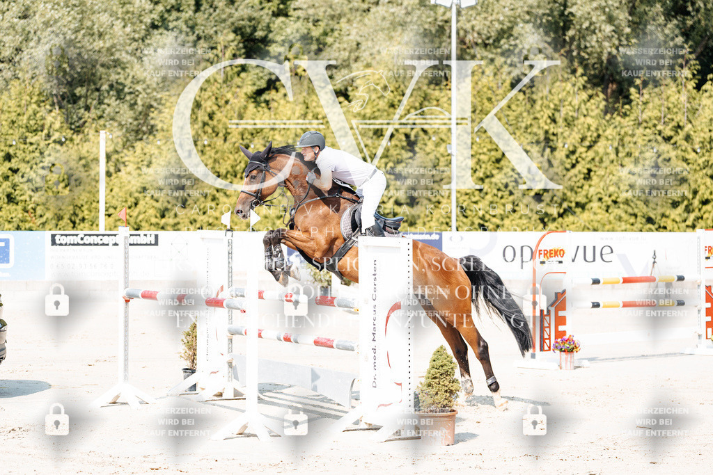 CK902273 | Turnierfotografie Pferdefotografie Trier Rheinland-Pfalz Pferdesport Reitsport Tierfotografie Sportfotografie Pferdevideo Pferdevideografie Equestrianvideography equestrianphotography  - Realisiert mit Pictrs.com