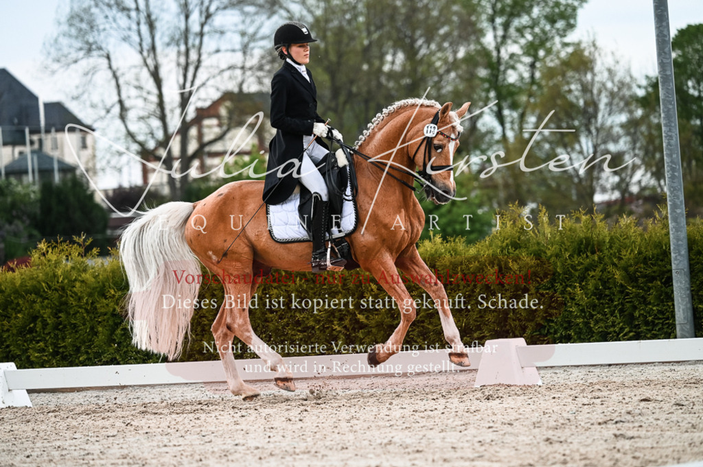 20230514_JK-Röhrsdorf-21-421 | Pferde- und Turnierfotografie in Westsachsen. Pferdeportraits, Auftragszeichnungen und intuitive Kunst.