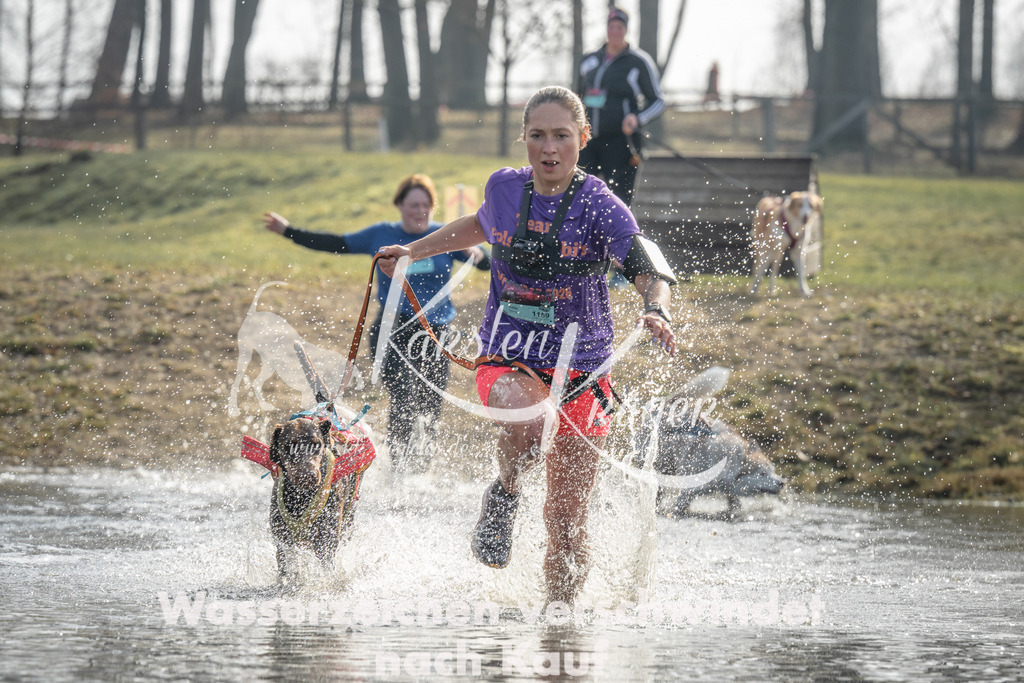 1040_ZZ98994 | kk-dogfotos