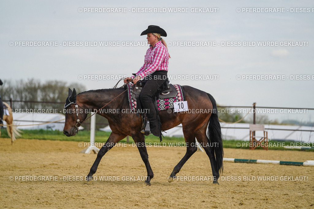 DSC05226 | Pferdegrafie