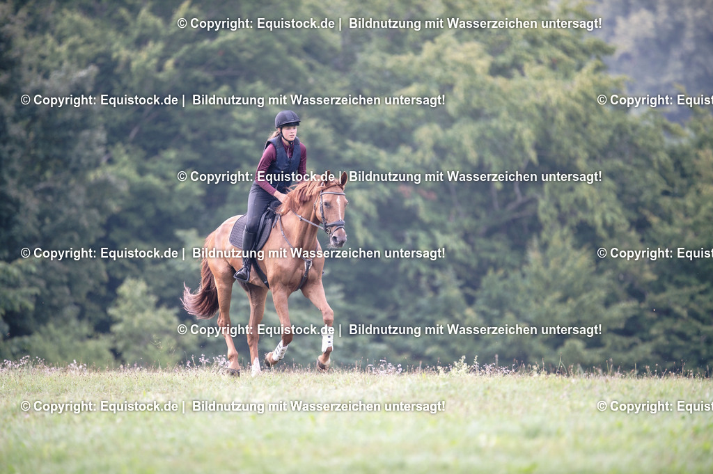 20250726_Vielseitigkeitslehrgang-Marbach_0058 | Foto: Thomas Hartig