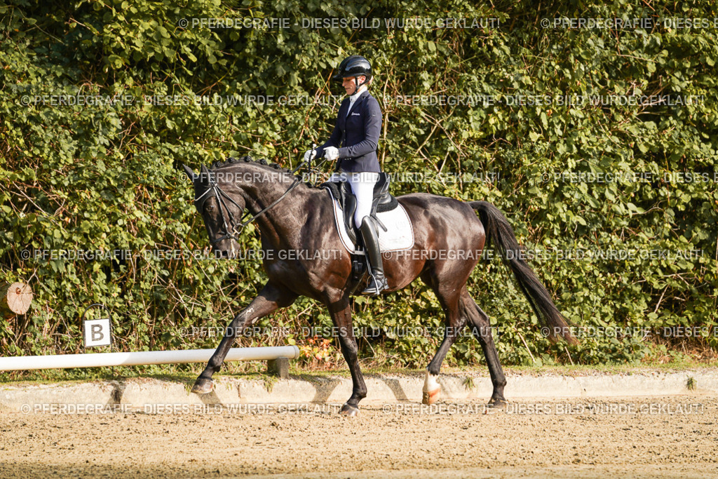 DSC04765 | Pferdegrafie