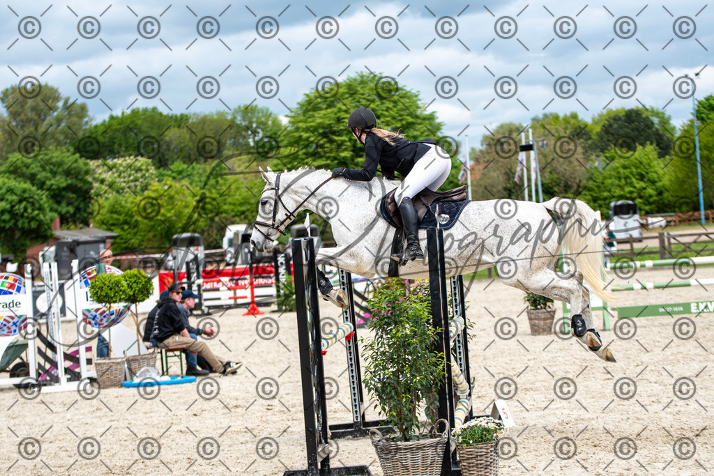 KPT_5460 | andre_photographic