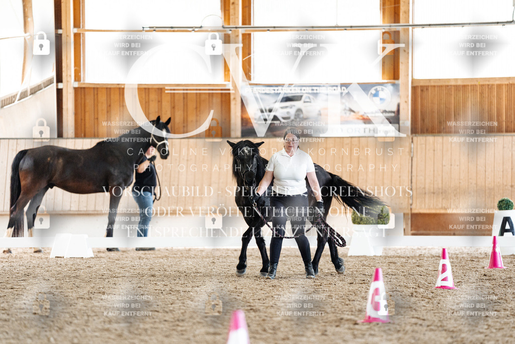 CK907518 | Turnierfotografie Pferdefotografie Trier Rheinland-Pfalz Pferdesport Reitsport Tierfotografie Sportfotografie Pferdevideo Pferdevideografie Equestrianvideography equestrianphotography  - Realisiert mit Pictrs.com