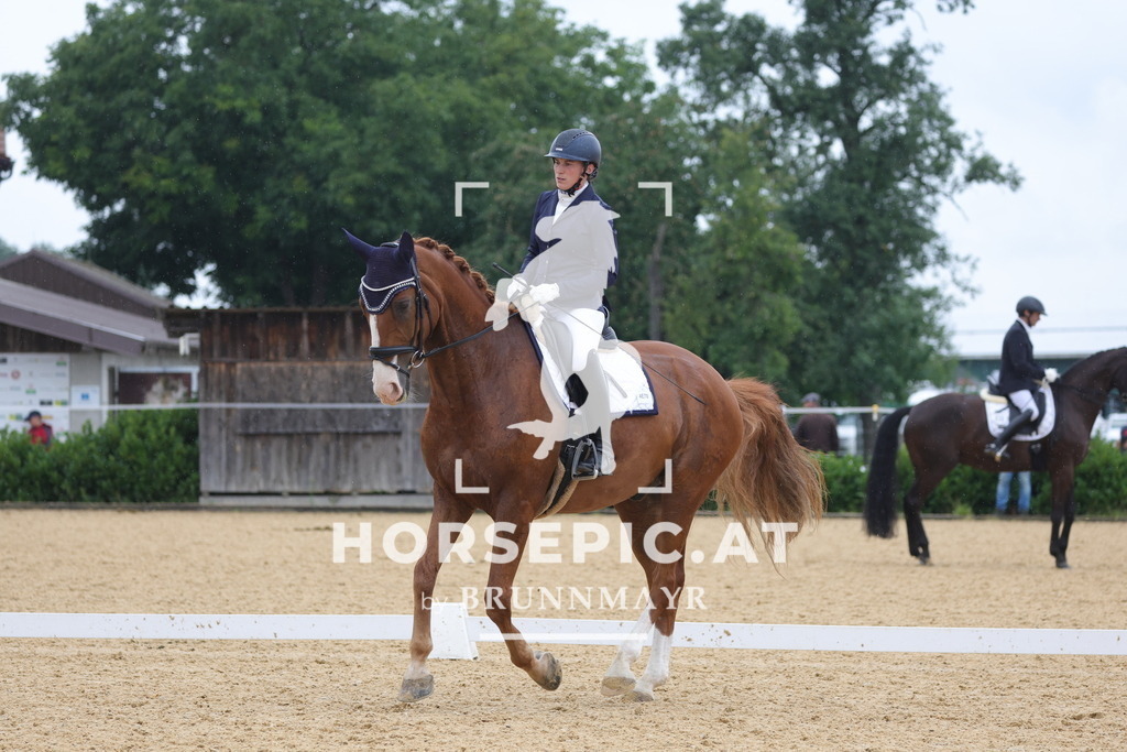 0P6A0008 | Willkommen bei Brunnmayr - Design & Fotografie – Ihrem Spezialisten für Reitturniere und Pferdeveranstaltungen in Oberösterreich, Salzburg und Bayern! Seit über 17 Jahren sind wir leidenschaftlich dabei.