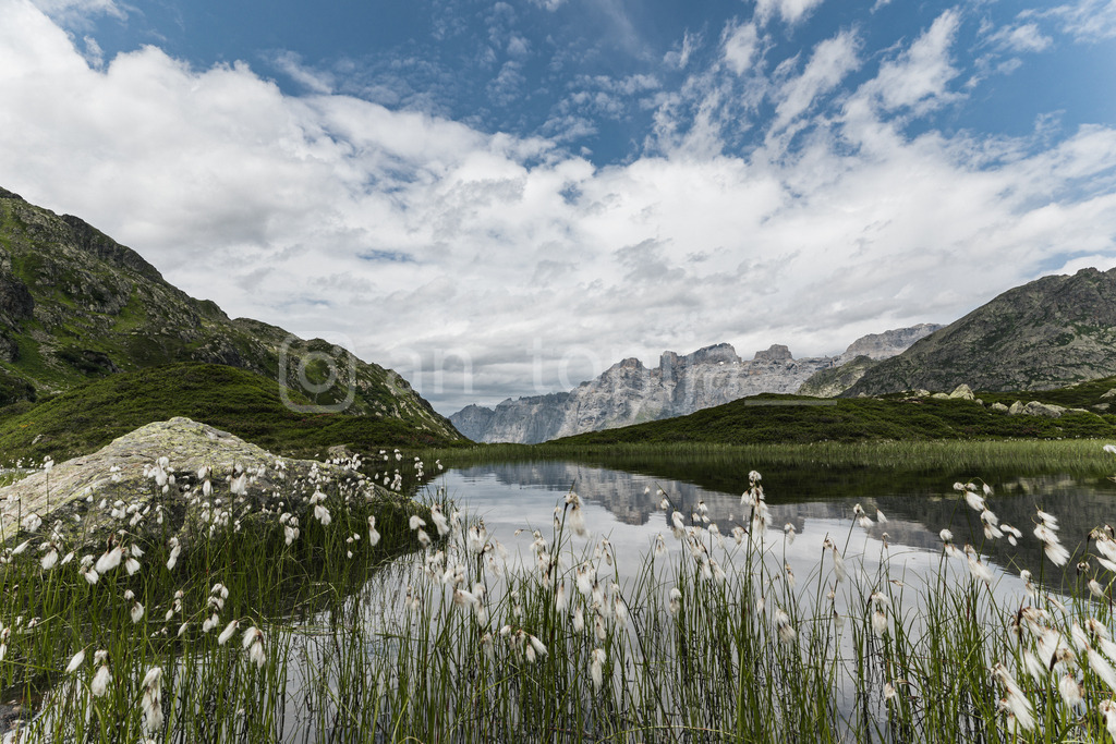 an_tonija__-1 | antonija-trupina - Realisiert mit Pictrs.com