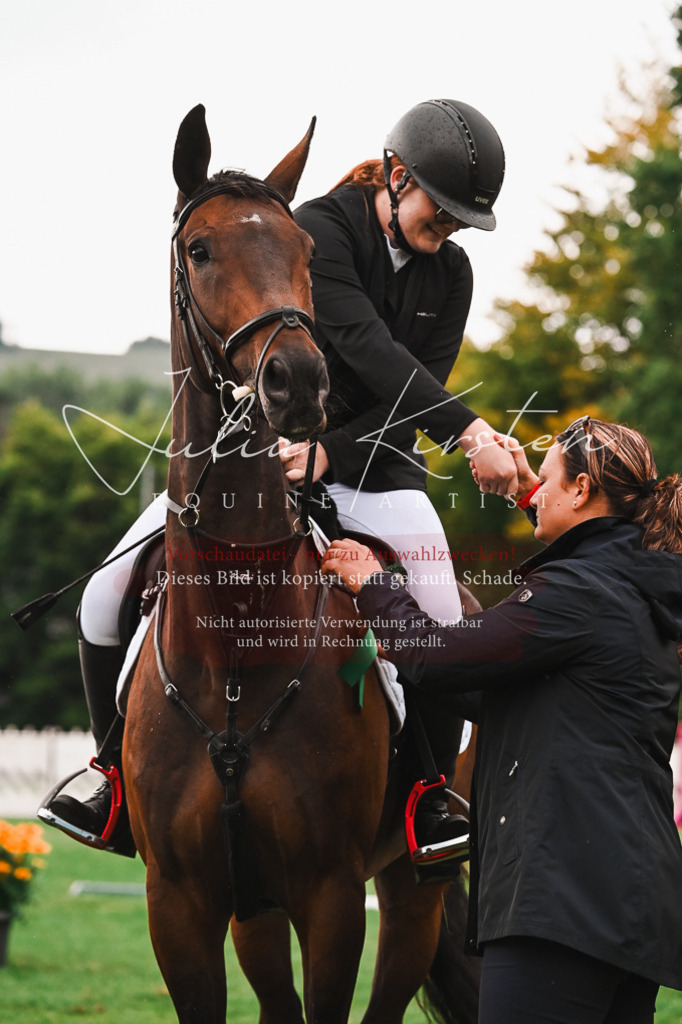 DSC_6698 | Pferde- und Turnierfotografie in Westsachsen. Pferdeportraits, Auftragszeichnungen und intuitive Kunst.