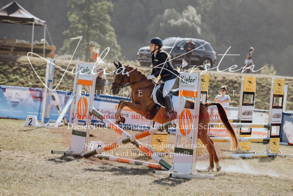 DSC_5920 | Pferde- und Turnierfotografie in Westsachsen. Pferdeportraits, Auftragszeichnungen und intuitive Kunst.