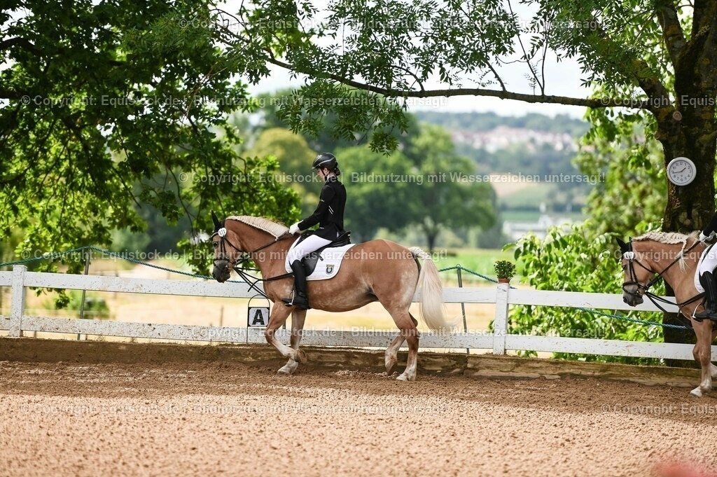 20230716_10-1_Reiter-WB Schritt - Trab - Galopp_0051 | equistock