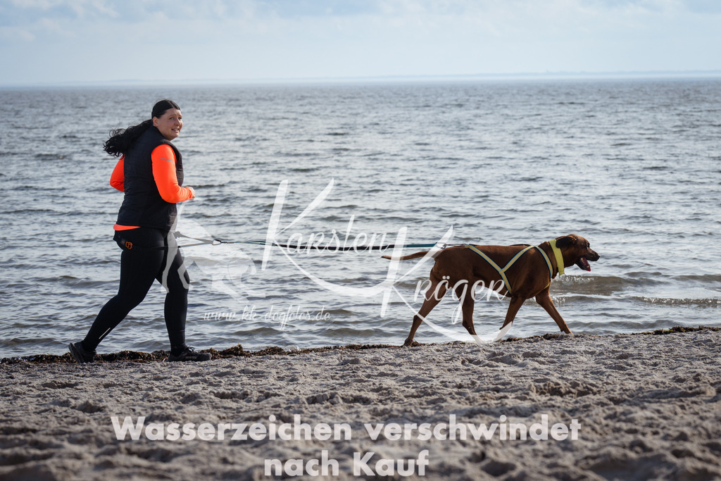 1256_ZZ99565 | kk-dogfotos