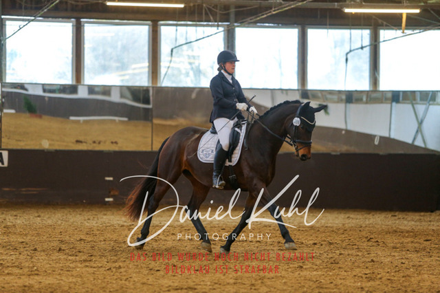 IMG_7603 | Turniersportfotografie; Pferdefotografie; Dressurfotografie