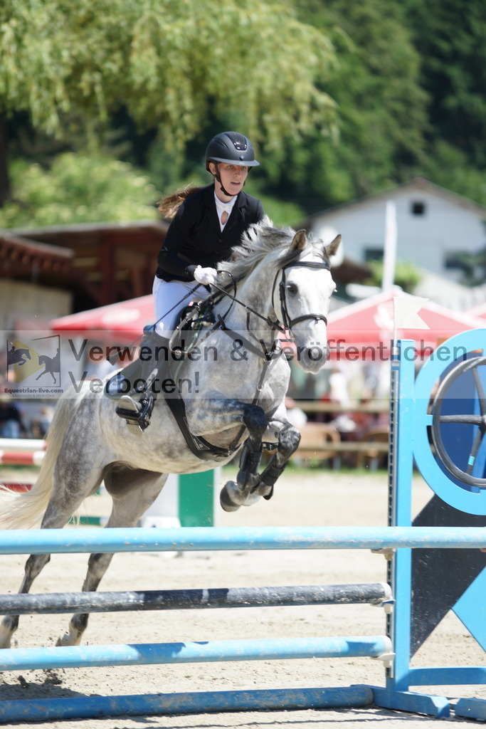 DSC09169 | equestrian-live-com