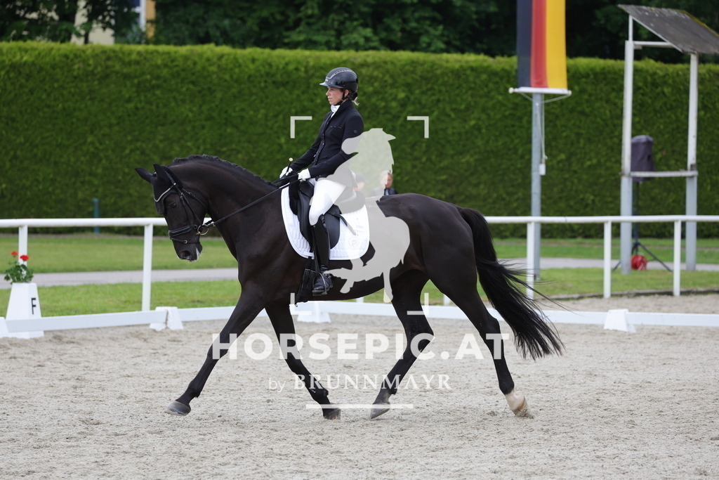 0P6A6123 | Willkommen bei Brunnmayr - Design & Fotografie – Ihrem Spezialisten für Reitturniere und Pferdeveranstaltungen in Oberösterreich, Salzburg und Bayern! Seit über 17 Jahren sind wir leidenschaftlich dabei.