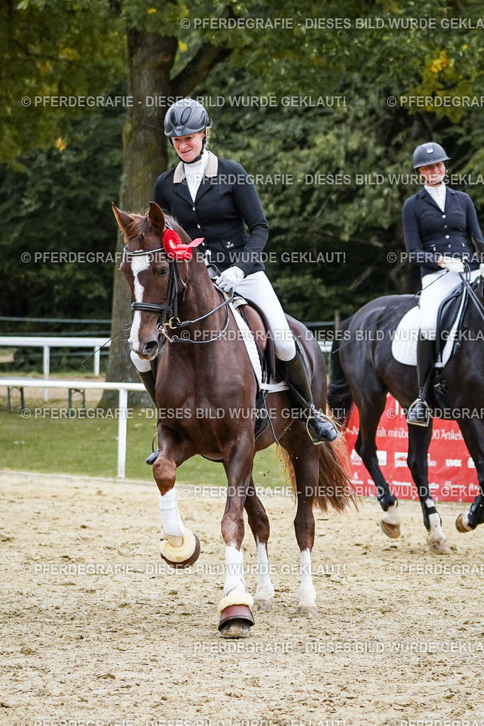 DSC02684 | Pferdegrafie